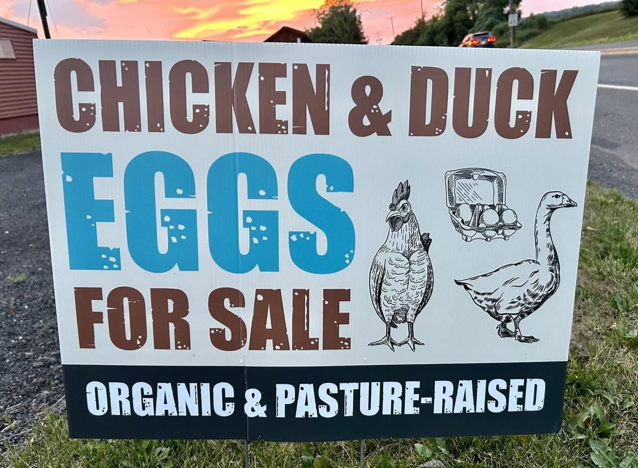 Fresh eggs sign