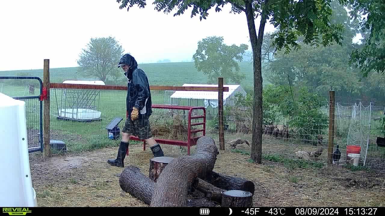 Rain over the farm